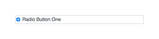 Radio button active