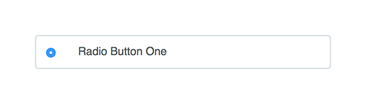 Radio button active
